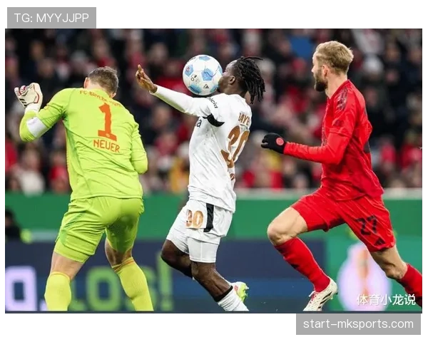 德甲豪门阵容大换血，主力实力全面升级，新赛季备受瞩目